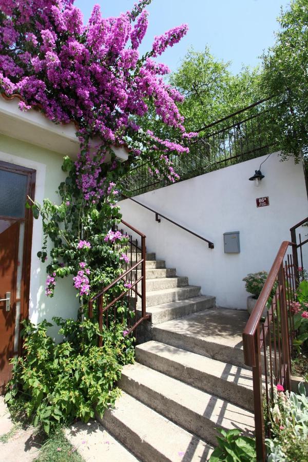 Bozena Studio Kneb Πορτορόζ Εξωτερικό φωτογραφία